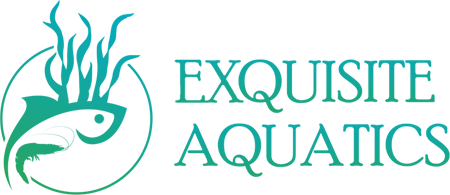 Exquisite Aquatics