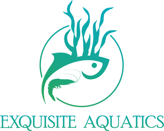 Exquisite Aquatics