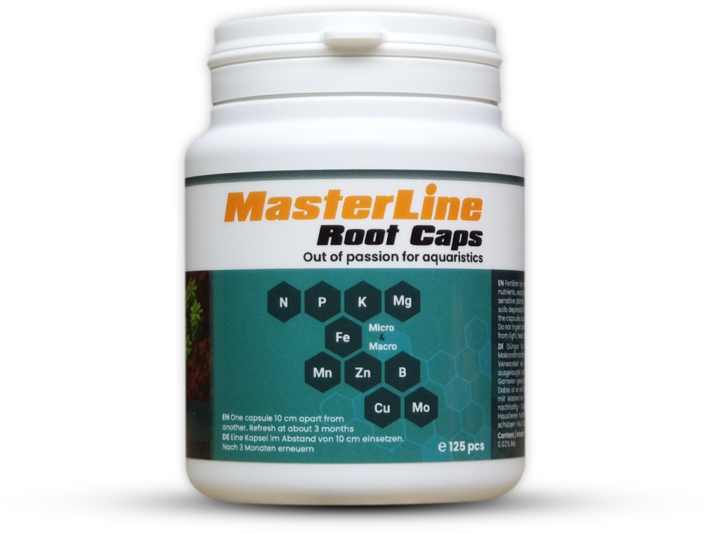 MasterLine Root Caps