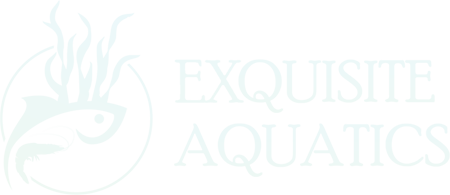 Exquisite Aquatics